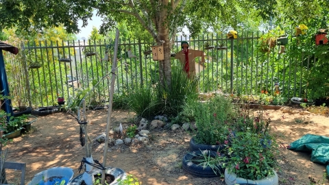 גני ילדים.jpg