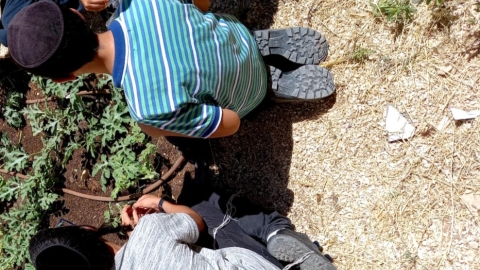 גני ילדים 44444.jpg