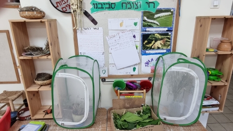 גני ילדים 38392.jpg