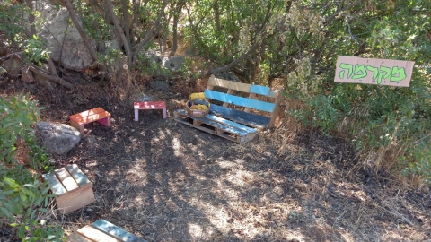 33333גינה קהילתית.jpg