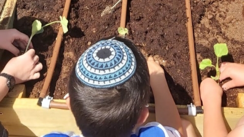 בתי ספר 1 (1).jpg