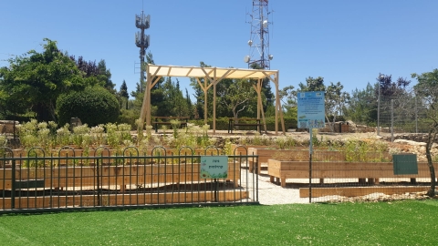 גינה קהילתית 3999.jpg