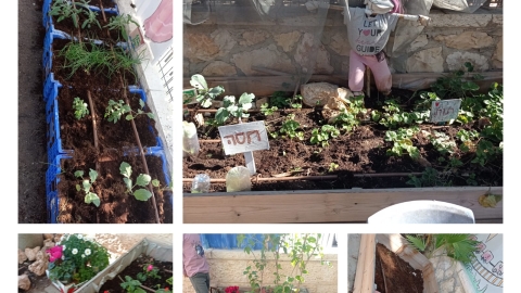 גינה קהילתית.jpg