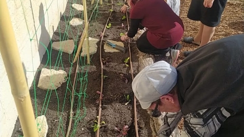 גינה גיל שלישי וגיל רך.jpg