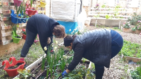 גינה קהילתית מעלה אדומים2.jpeg