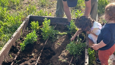 גינה קהילתית דגן.jpg