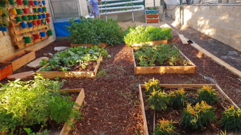 גינה קהילתית מעלה אדומים3.jpeg